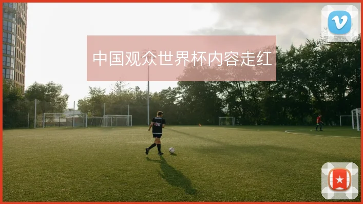 中国观众世界杯内容走红