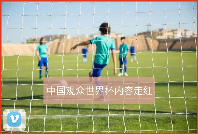 中国观众世界杯内容走红