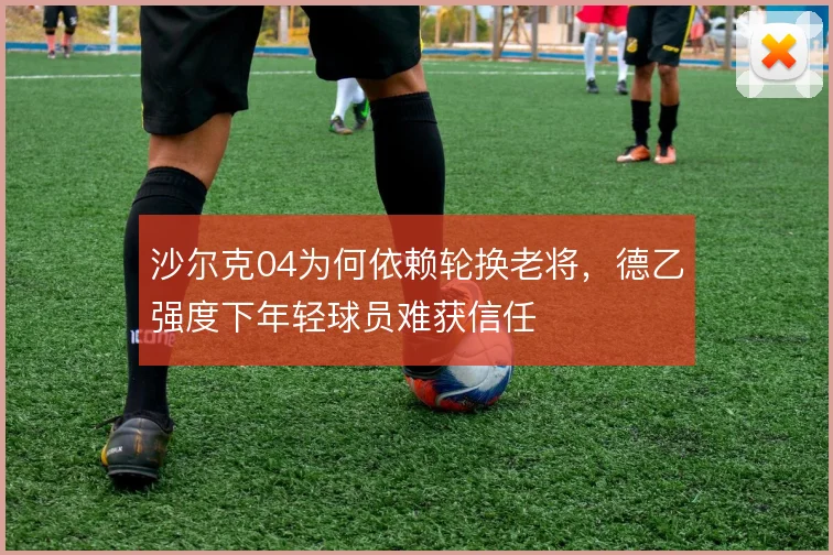 沙尔克04为何依赖轮换老将，德乙强度下年轻球员难获信任